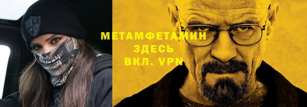 сатива Волоколамск