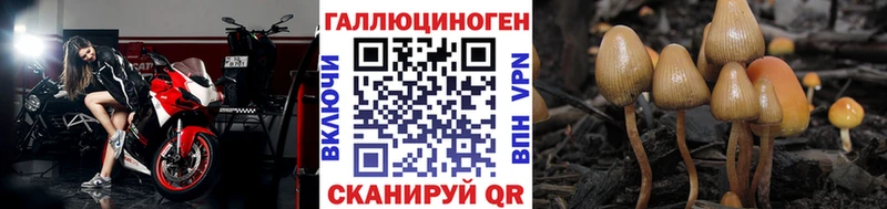 купить наркотик  Дзержинский  Галлюциногенные грибы Magic Shrooms 